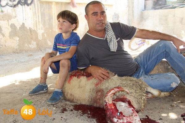 dabe7 ludj31 (49).JPG